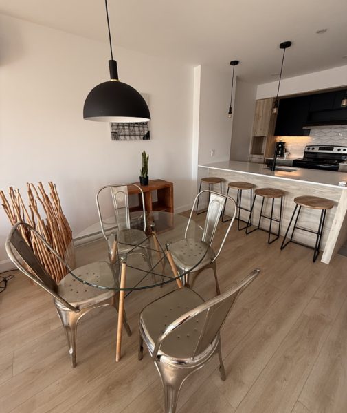 Fully Furnished Executive 1 Bedroom Apartment in Quebec City