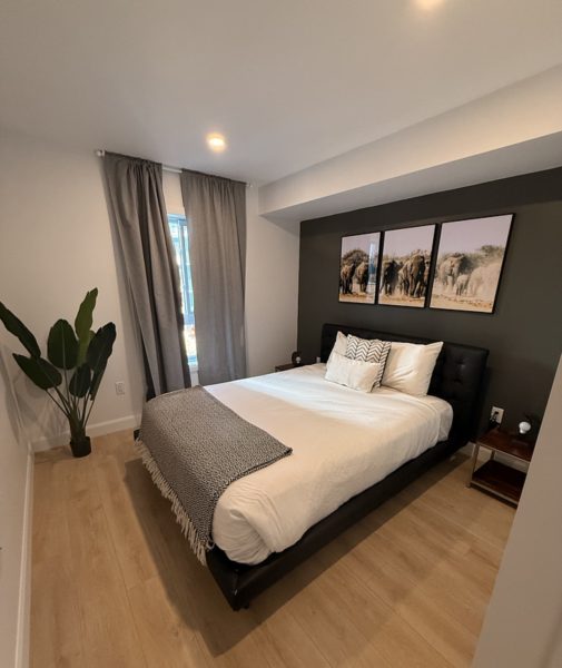 Modern 1BR Apartment | Pool, Gym & Free WiFi